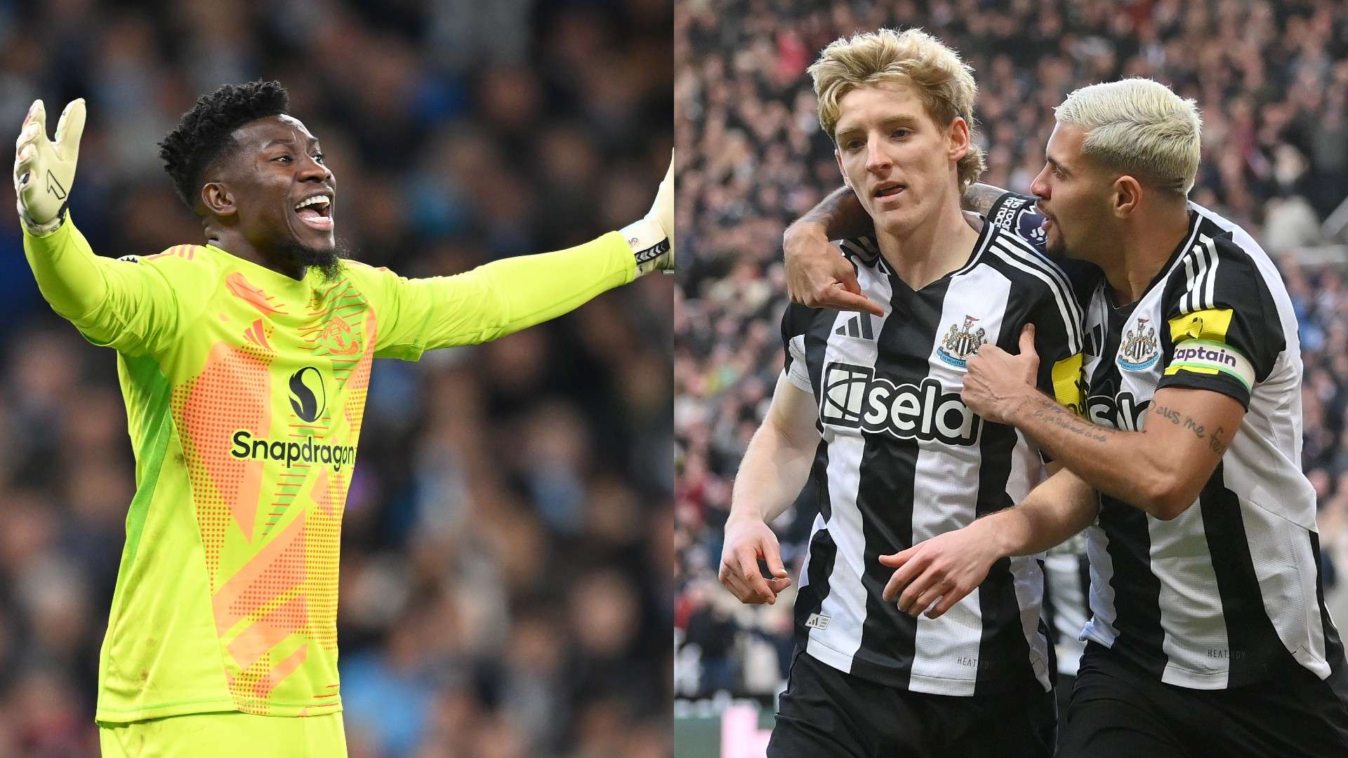 约翰逊不仅 约翰逊不仅