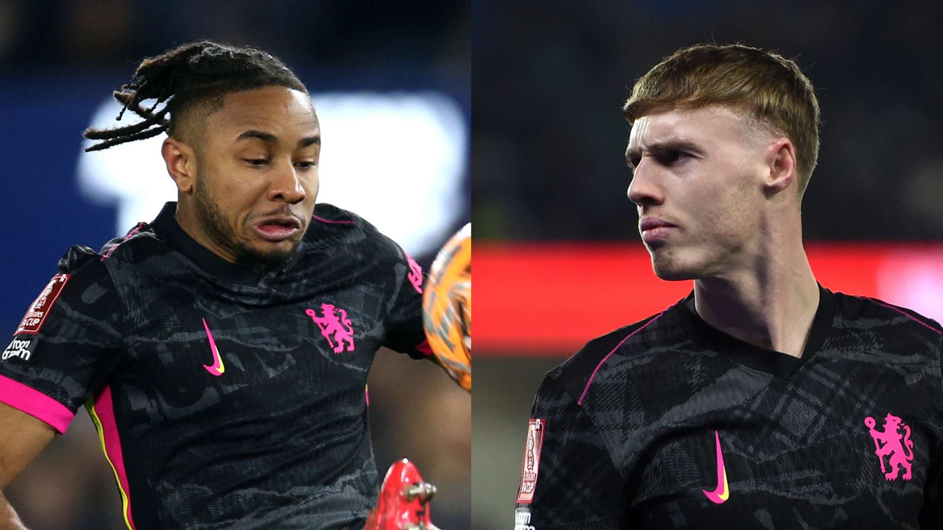 与市场表现 与市场表现